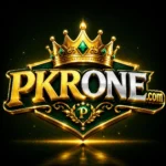 PKR ONE GAME DOWNLOAD